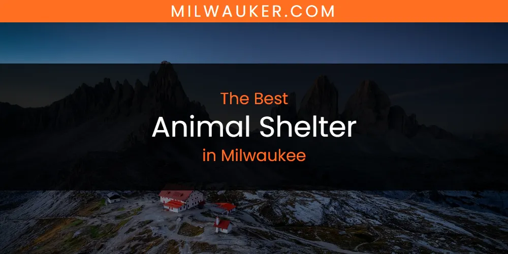 Discover the Best Animal Shelter in Milwaukee (2026)