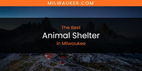 Discover the Best Animal Shelter in Milwaukee