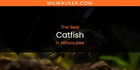 Ranked: Best Catfish in Milwaukee