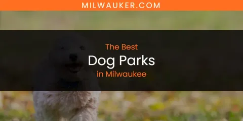 Milwaukee's Best Dog Parks