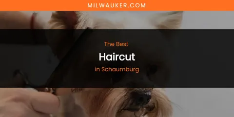 Schaumburg's Best Haircut
