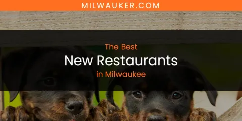 Milwaukee's Best New Restaurants