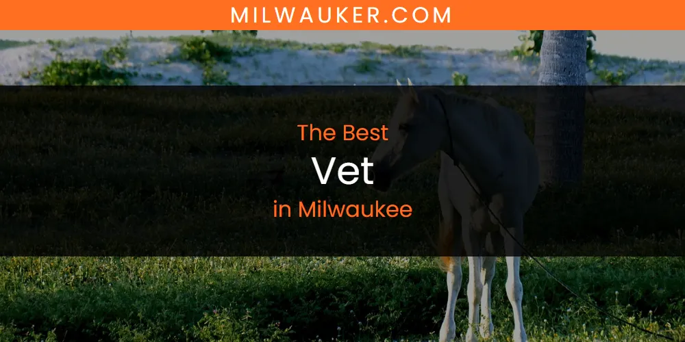 Discover the Best Vet in Milwaukee (2026)