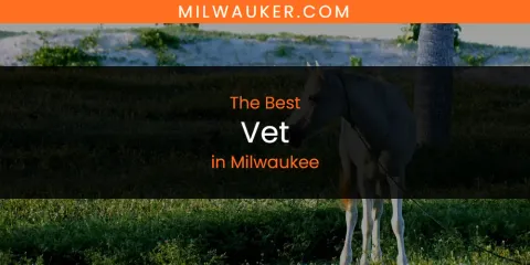 Discover the Best Vet in Milwaukee
