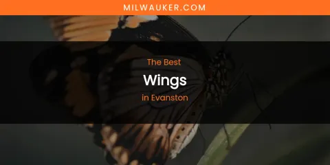 The Absolute Best Wings in Evanston
